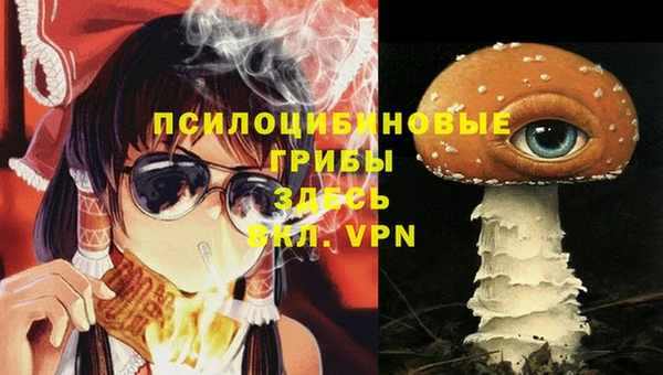MDMA Пролетарск