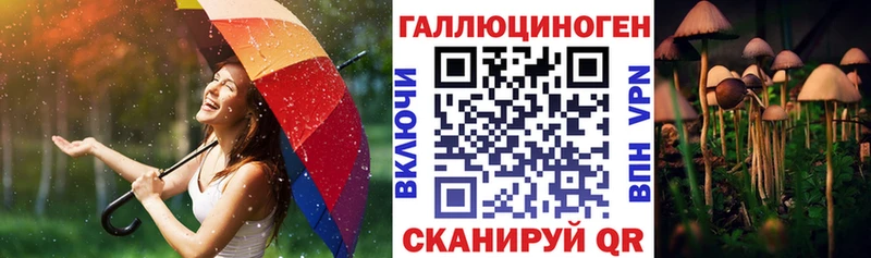 Псилоцибиновые грибы MAGIC MUSHROOMS  Сковородино 